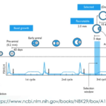 TimelineDescription automatically generated