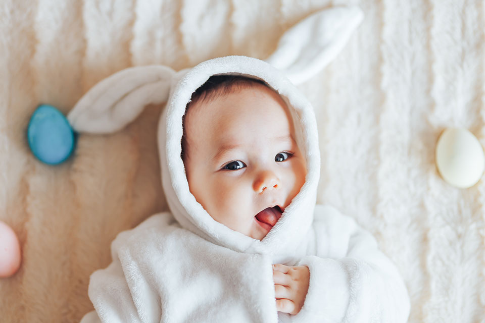 How Does IVF with Egg Donation Work? North Cyprus IVF Center