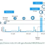 TimelineDescription automatically generated